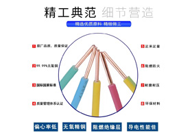 WDZB-BYJ 型号：0.75mm²²～240mm²²