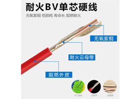 ZCN-BV 型号：0.75mm²²～240mm²²