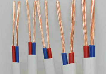 ZC-BVVB（2类 ）型号：2芯（0.5mm²²～16mm²²）