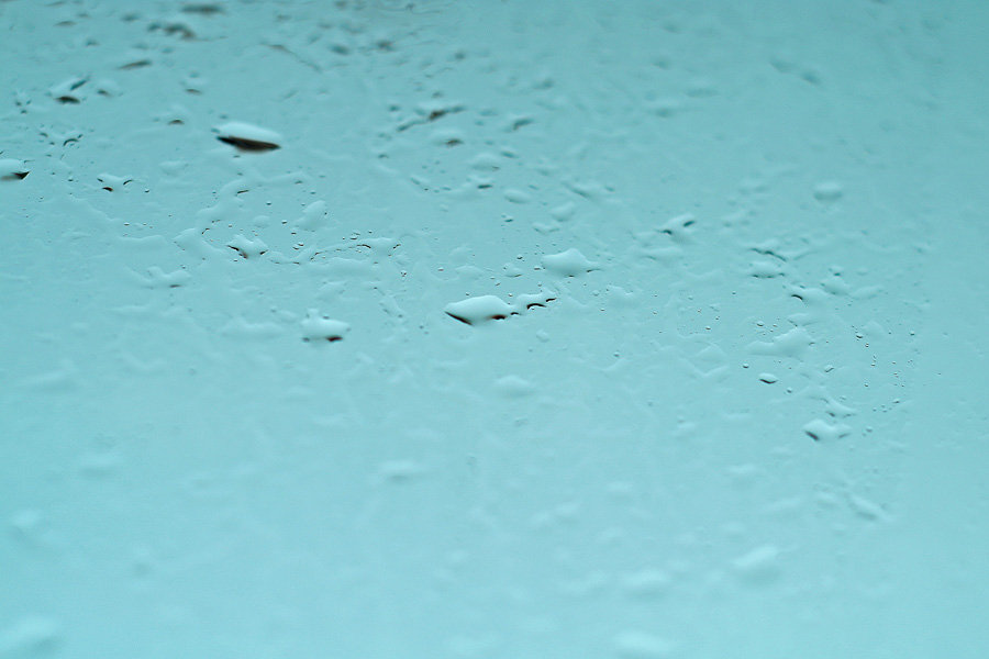 12.8.3 Haldyn Glass生产经营情况分析（销售量、销售收入、价格、毛利及毛利率）