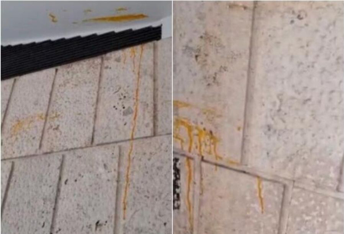 意大利连续三届无缘世界杯 球迷怒烧足协总部